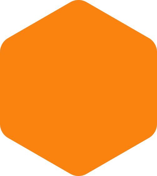 https://www.birdconstruction.org/wp-content/uploads/2020/09/hexagon-orange-huge.png