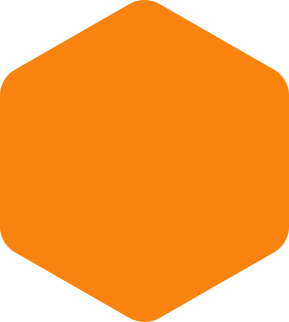 https://www.birdconstruction.org/wp-content/uploads/2020/09/hexagon-orange-large.png